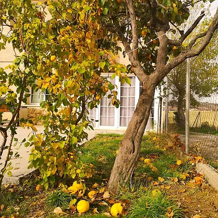 Agradable Casa Con Jardin: Casasola San Cristóbal de Segovia