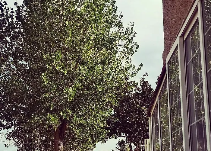 Agradable Casa Con Jardin: Casasola San Cristóbal de Segovia